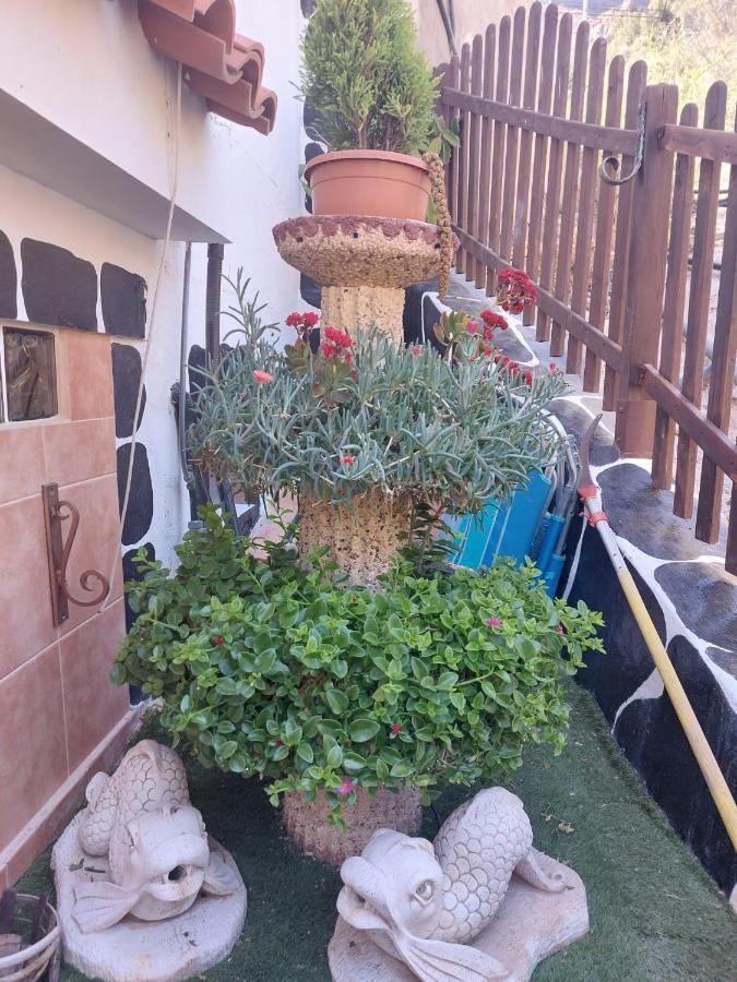 El Palmito 2